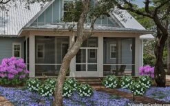 Snow Globe Gardenia - 1 Gallon Pot -Healthy Plant Shop gardenia jasminoides snow globe 2