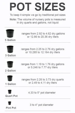 Front Page -Healthy Plant Shop pot size chart 2022 217
